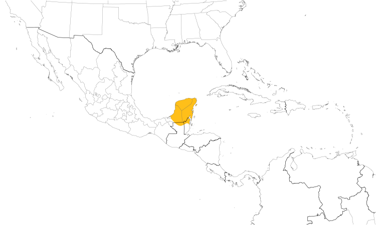 Range Map (Central): Black Catbird