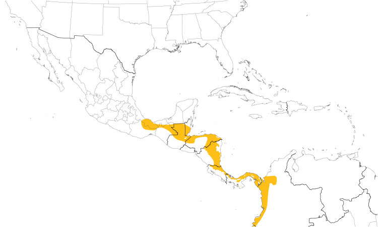Range Map (Central): Black-cheeked Woodpecker