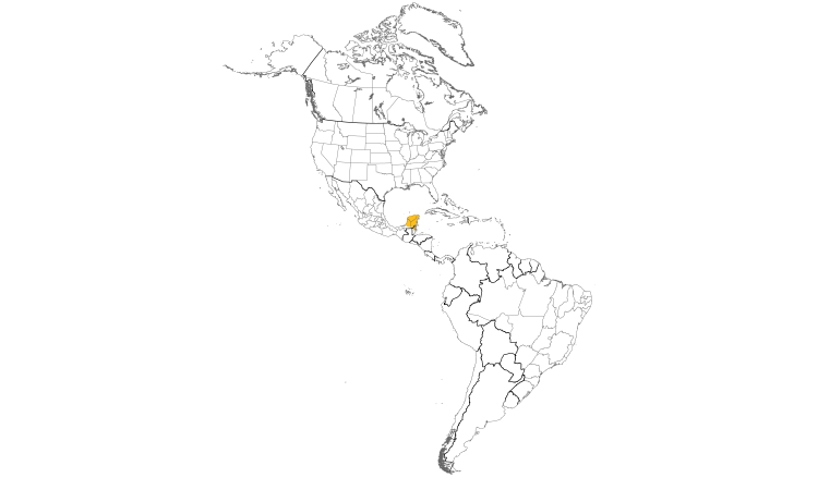 Range Map (Americas): Yucatan Woodpecker