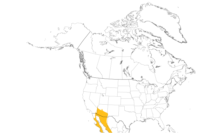 Range Map (North): Gila Woodpecker