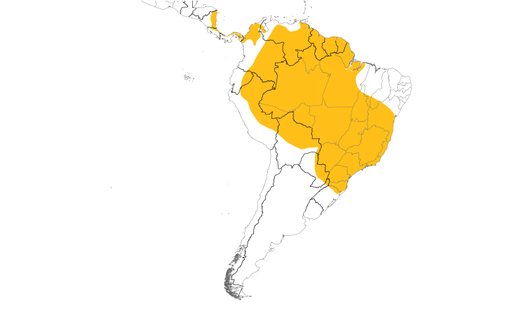 Range Map (South): Green Ibis