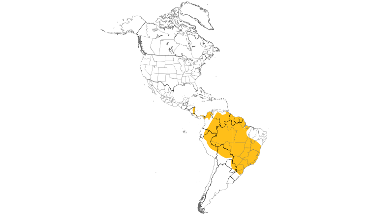 Range Map (Americas): Green Ibis