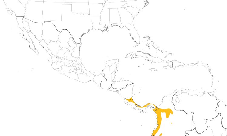 Range Map (Central): Half-collared Gnatwren