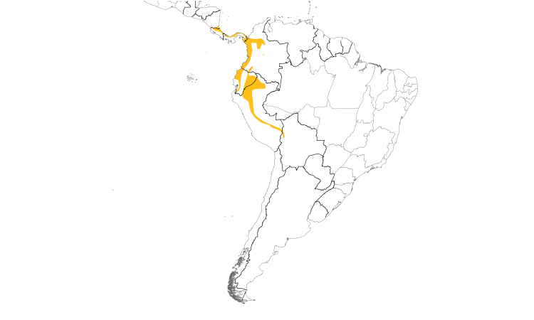 Range Map (South): Half-collared Gnatwren