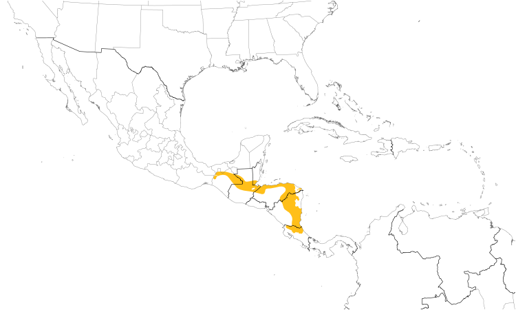 Range Map (Central): Nightingale Wren