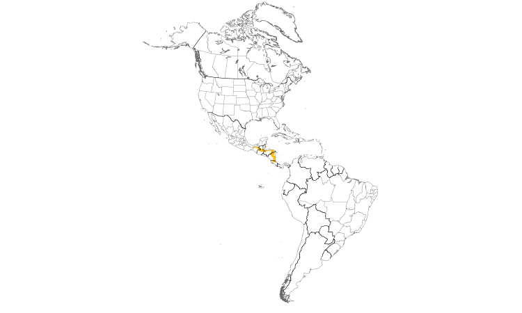 Range Map (Americas): Nightingale Wren