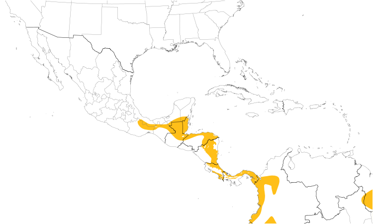 Range Map (Central): Dot-winged Antwren