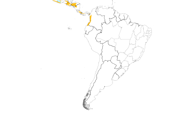 Range Map (South): Tufted Flycatcher