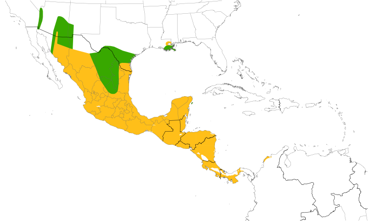 Range Map (Central): Bronzed Cowbird