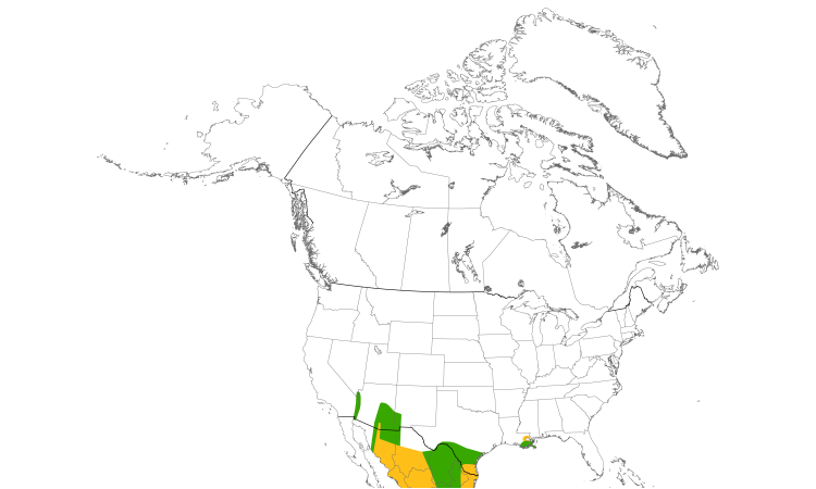 Range Map (North): Bronzed Cowbird