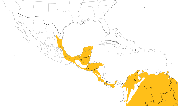 Range Map (Central): Whooping Motmot