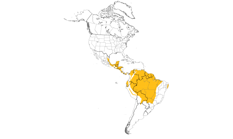 Range Map (Americas): Whooping Motmot