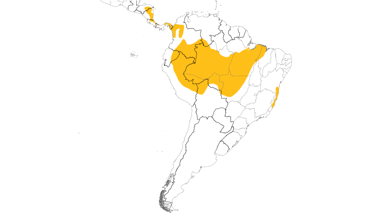 Range Map (South): White-fronted Nunbird