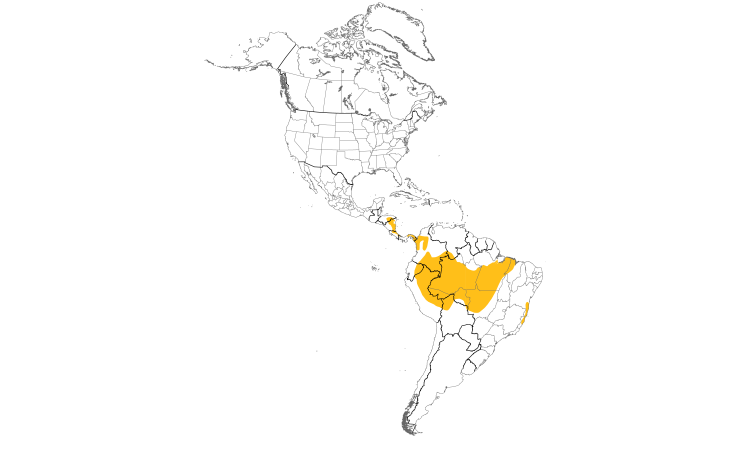 Range Map (Americas): White-fronted Nunbird