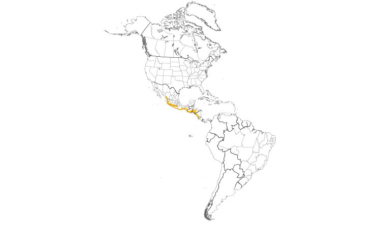 Range Map (Americas): Lesser Ground-Cuckoo