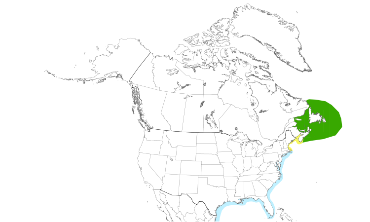 Range Map (North): Northern Gannet