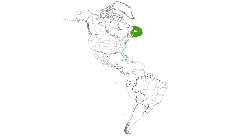 Range Map (Americas): Northern Gannet