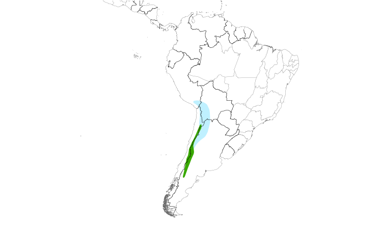 Range Map (South): Black-fronted Ground-Tyrant