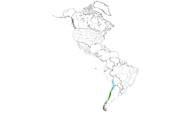 Range Map (Americas): Black-fronted Ground-Tyrant