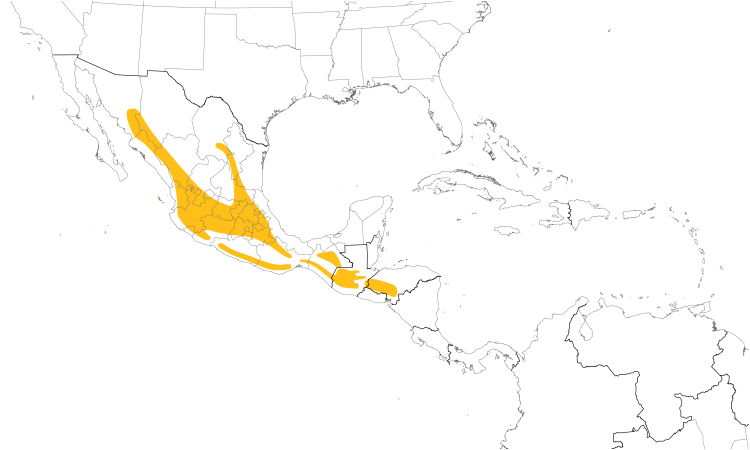 Range Map (Central): Brown-backed Solitaire