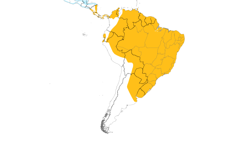 Range Map (South): Wood Stork