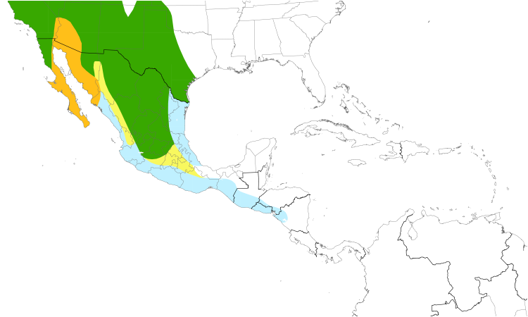 Range Map (Central): Ash-throated Flycatcher
