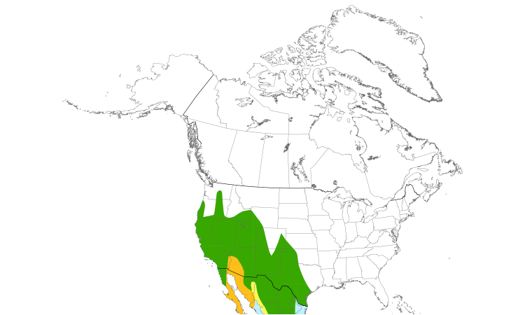 Range Map (North): Ash-throated Flycatcher