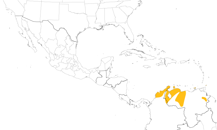 Range Map (Central): Venezuelan Flycatcher