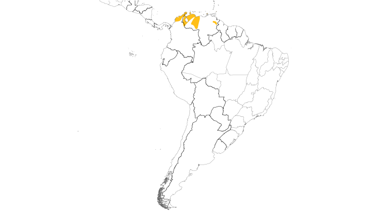Range Map (South): Venezuelan Flycatcher