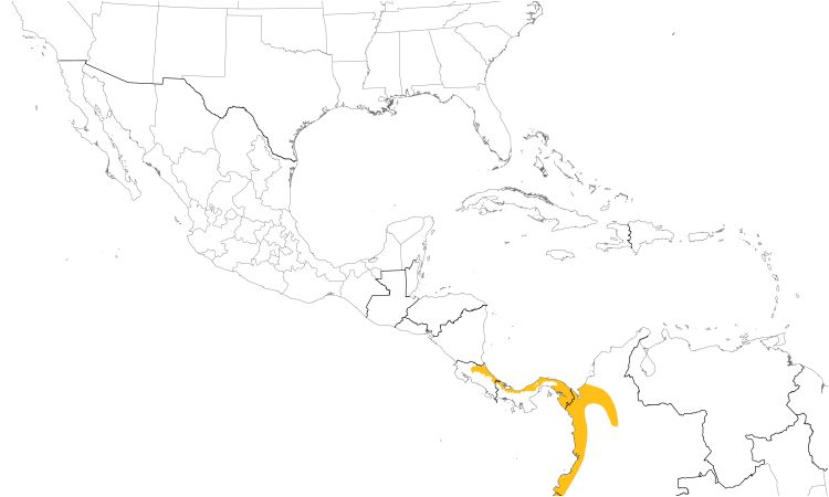 Range Map (Central): Black-capped Pygmy-Tyrant