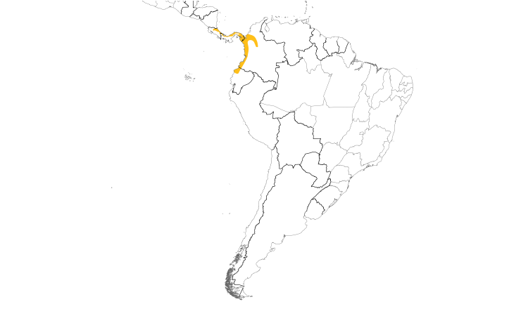 Range Map (South): Black-capped Pygmy-Tyrant