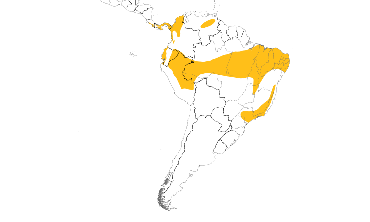 Range Map (South): Black-tailed Flycatcher