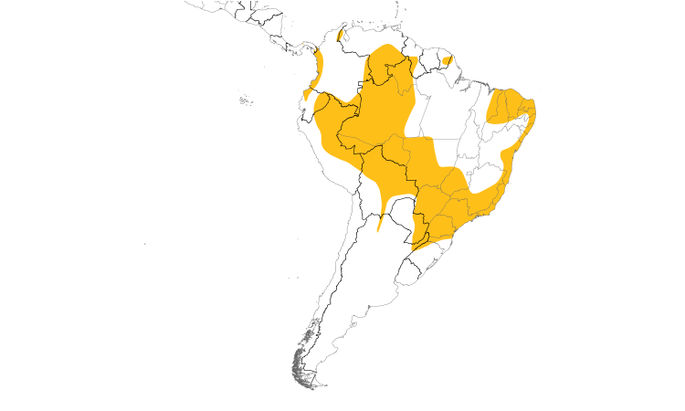 Range Map (South): Gray Elaenia