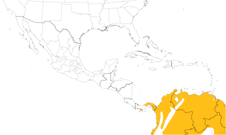 Range Map (Central): Rusty-margined Flycatcher