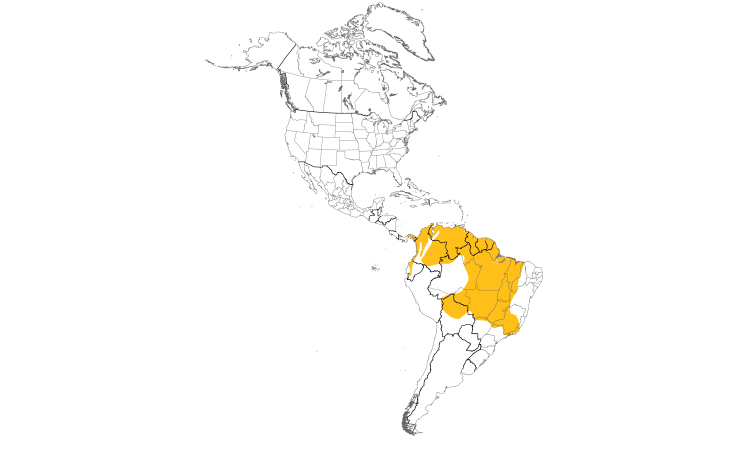 Range Map (Americas): Rusty-margined Flycatcher