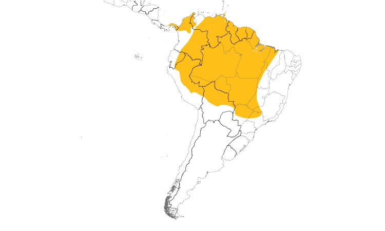 Range Map (South): Forest Elaenia