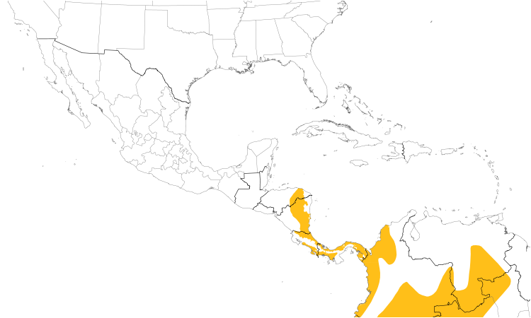 Range Map (Central): Gray-capped Flycatcher