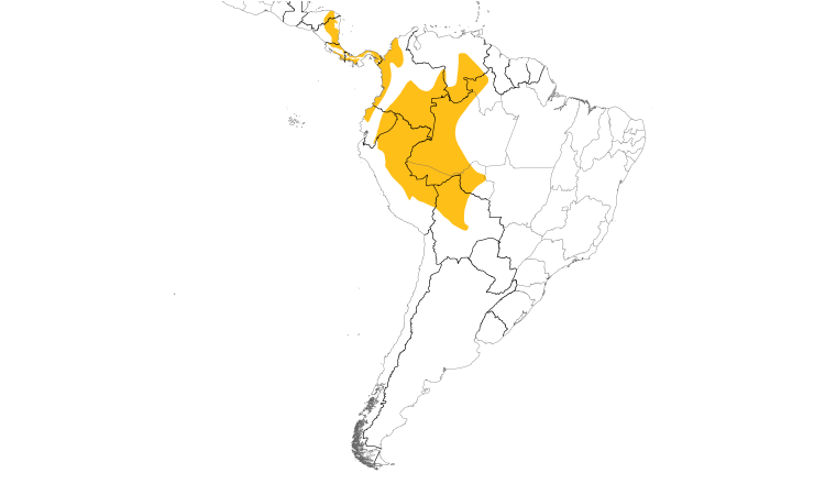 Range Map (South): Gray-capped Flycatcher