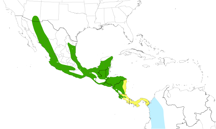 Range Map (Central): Sulphur-bellied Flycatcher