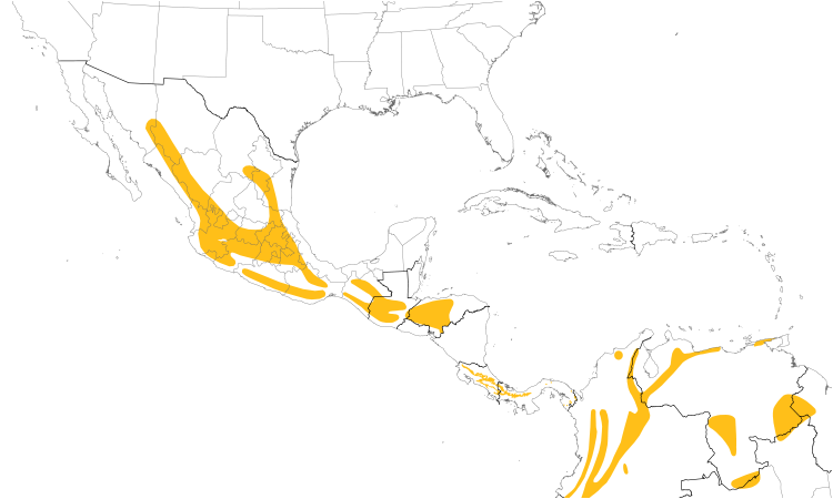 Range Map (Central): Slate-throated Redstart