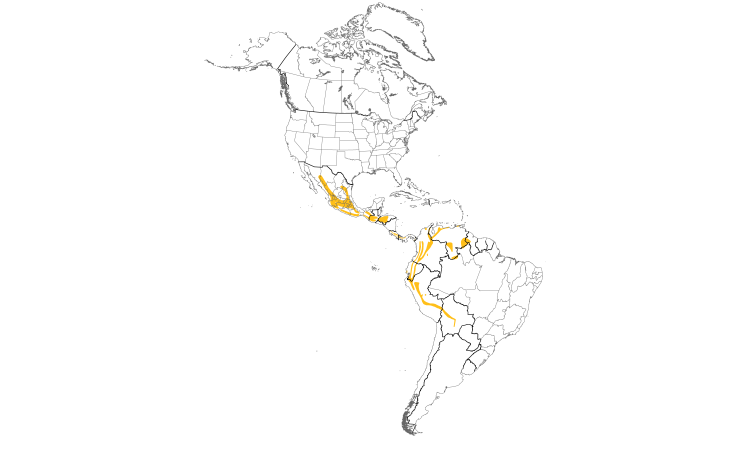 Range Map (Americas): Slate-throated Redstart