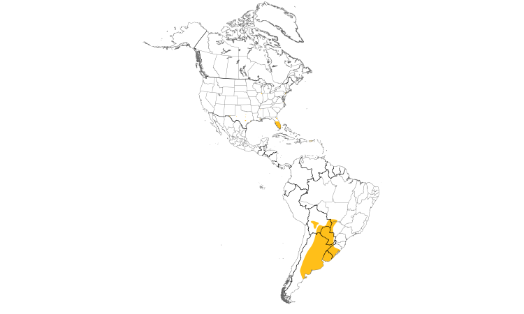 Range Map (Americas): Monk Parakeet