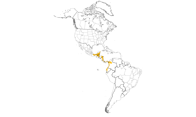 Range Map (Americas): Sulphur-rumped Flycatcher