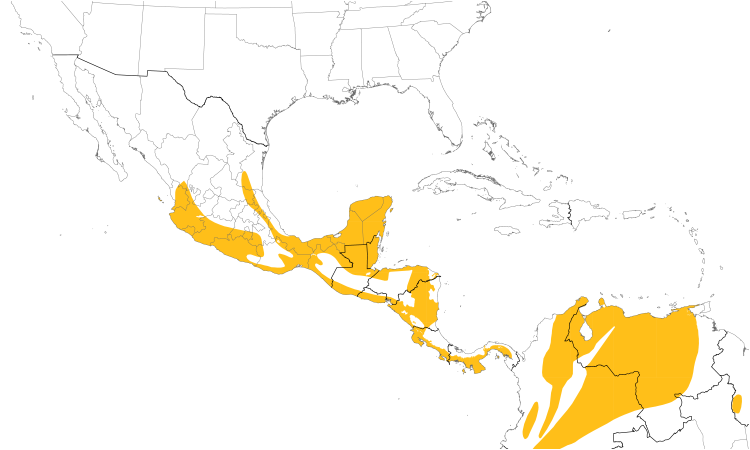 Range Map (Central): Greenish Elaenia