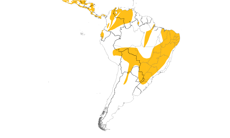 Range Map (South): Greenish Elaenia