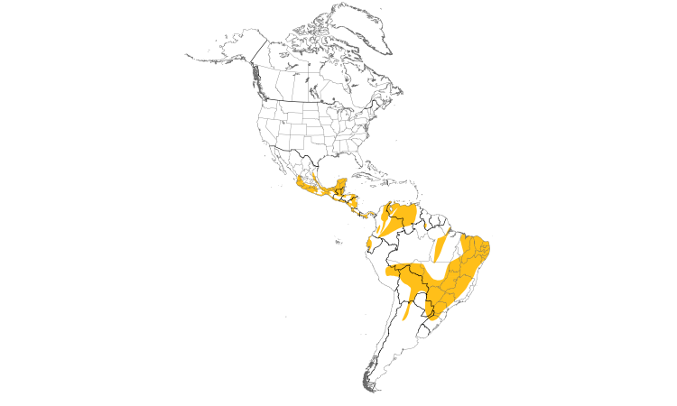 Range Map (Americas): Greenish Elaenia