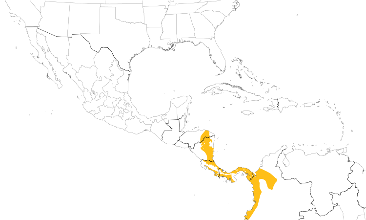 Range Map (Central): Chestnut-backed Antbird