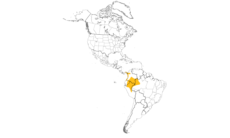 Range Map (Americas): Moustached Antwren
