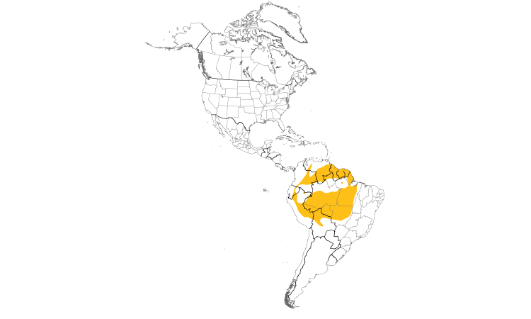 Range Map (Americas): White-browed Antbird
