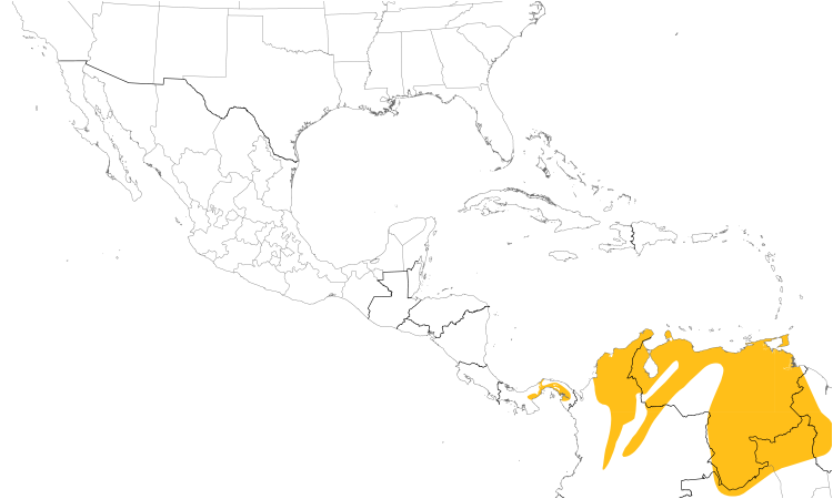 Range Map (Central): White-bellied Antbird
